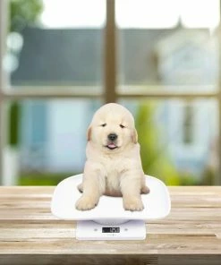 WeighJo Dierenweegschaal Puppy Kitten Keukenweegschaal Digitaal Weegschaal - Dieren Weegschaal - Keuken Weegschaal Met Kom - Precisie Weegschaal - Kleine Weegschaal Tot 10 Kg 14 WeighJo Dierenweegschaal Puppy Kitten Keukenweegschaal Digitaal Weegschaal - Dieren Weegschaal - Keuken Weegschaal Met Kom - Precisie Weegschaal - Kleine Weegschaal Tot 10 Kg -Yunmai Shop 550x550 358