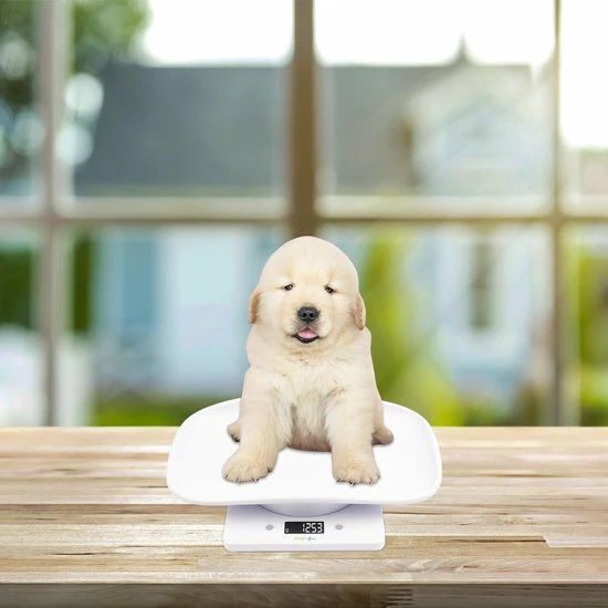 WeighJo Dierenweegschaal Puppy Kitten Keukenweegschaal Digitaal Weegschaal - Dieren Weegschaal - Keuken Weegschaal Met Kom - Precisie Weegschaal - Kleine Weegschaal Tot 10 Kg 8 WeighJo Dierenweegschaal Puppy Kitten Keukenweegschaal Digitaal Weegschaal - Dieren Weegschaal - Keuken Weegschaal Met Kom - Precisie Weegschaal - Kleine Weegschaal Tot 10 Kg - Afbeelding 6
